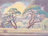 Jacob Hendrik Pieneerf bushveld