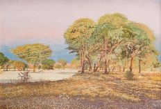 adolph-jentsch-near-the-swakop-river
