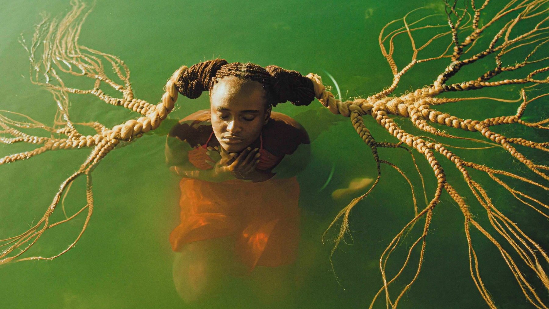 Preview, Walkabout, Panel Discussion & High Tea