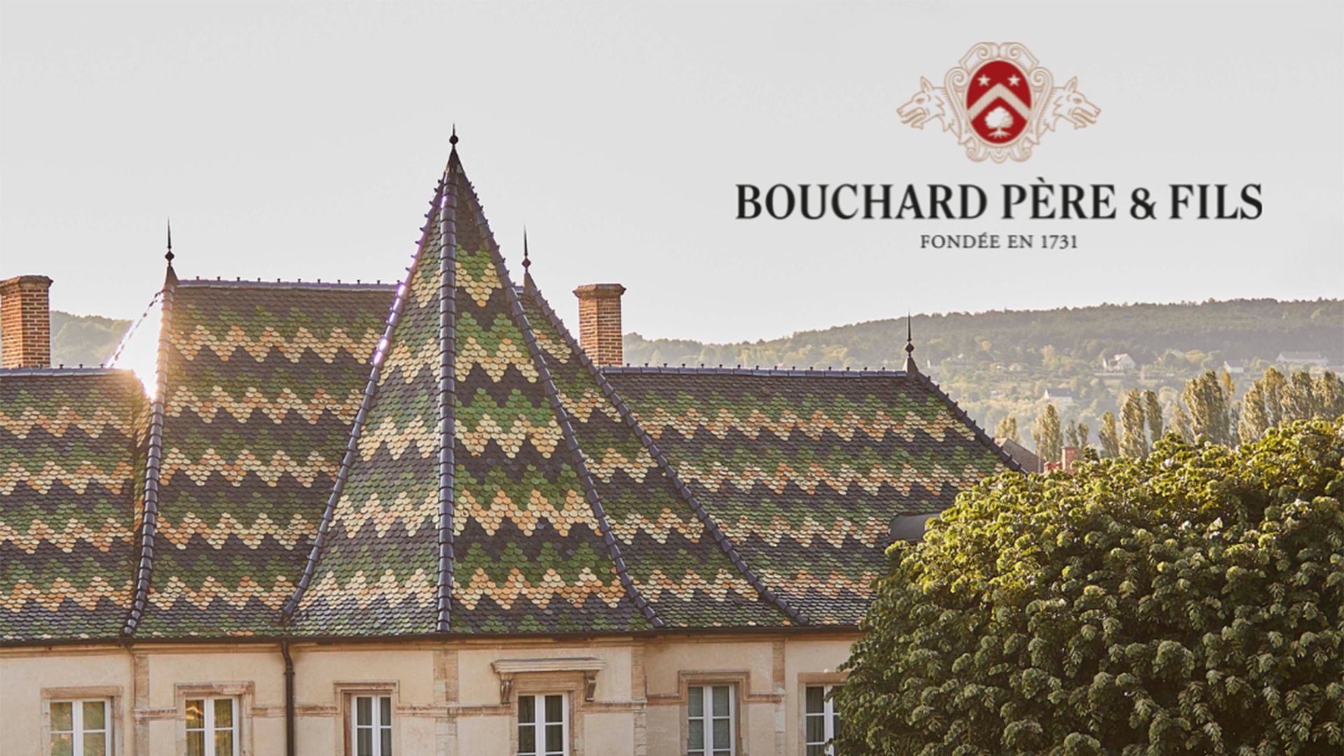 Historical wines from Bouchard Pere et Fils
