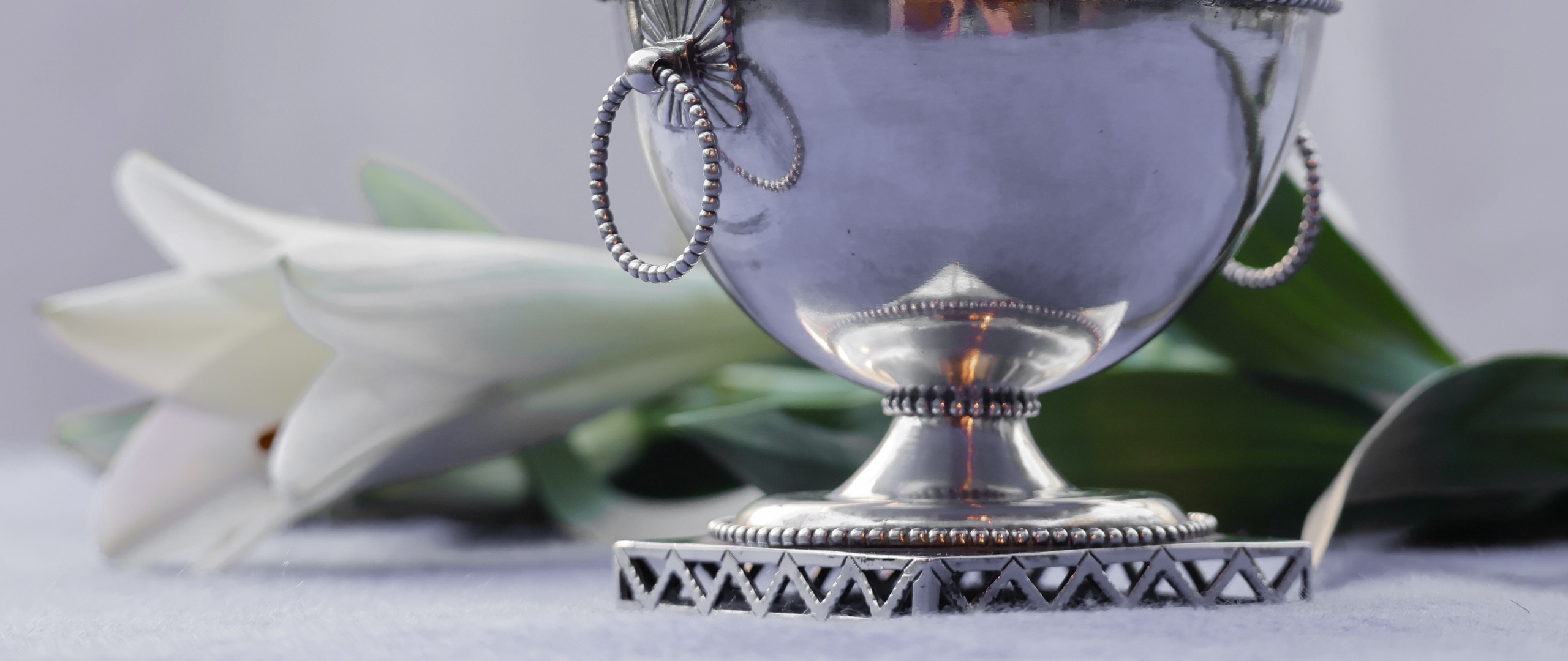 Silver Valuation Day